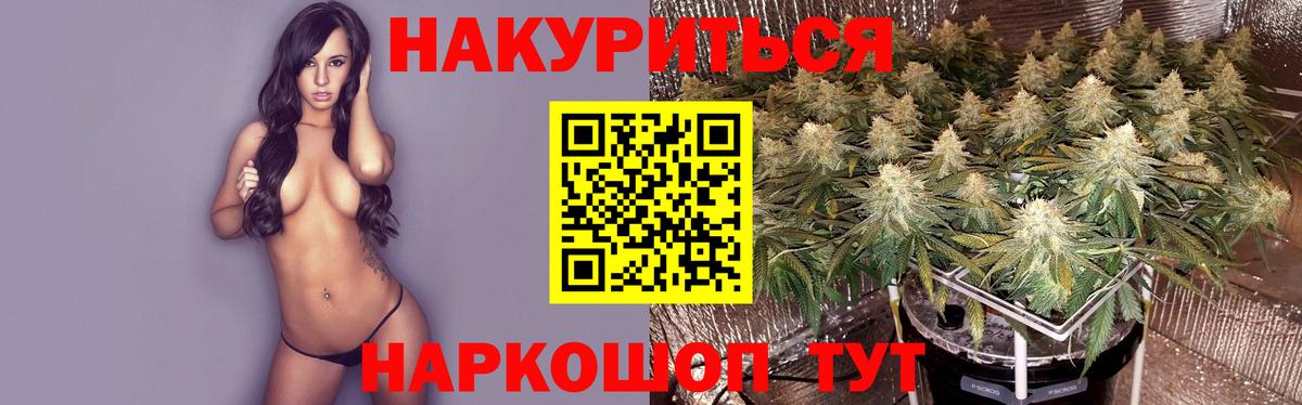 МАРИХУАНА план Выборг